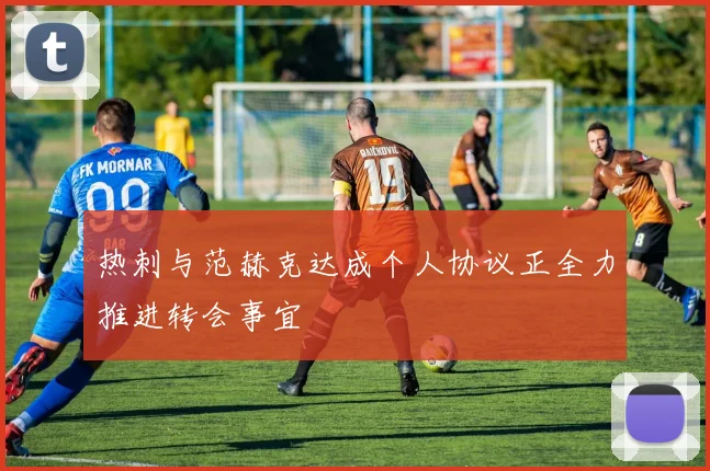 热刺与范赫克达成个人协议正全力推进转会事宜