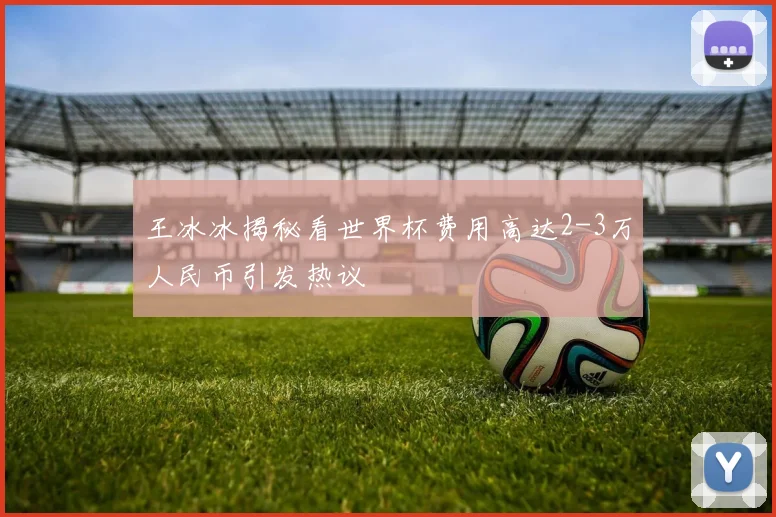王冰冰揭秘看世界杯费用高达2-3万人民币引发热议